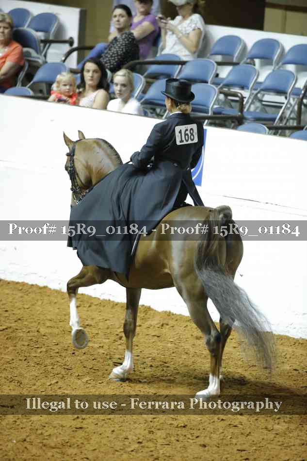 Proof 15R9_01184