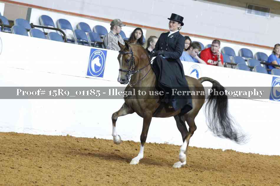 Proof 15R9_01185