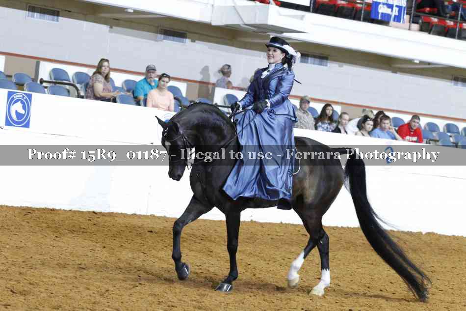 Proof 15R9_01187