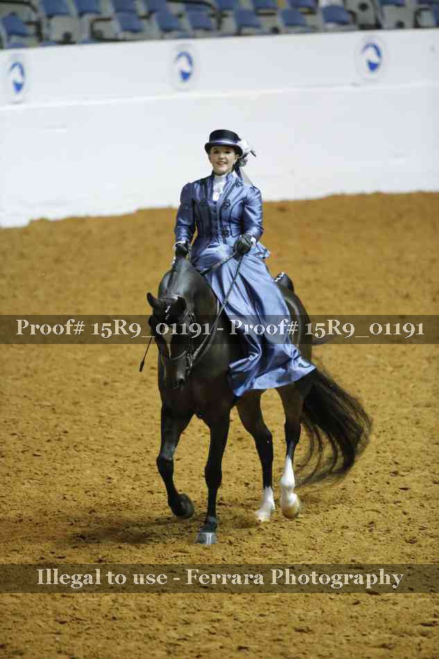 Proof 15R9_01191