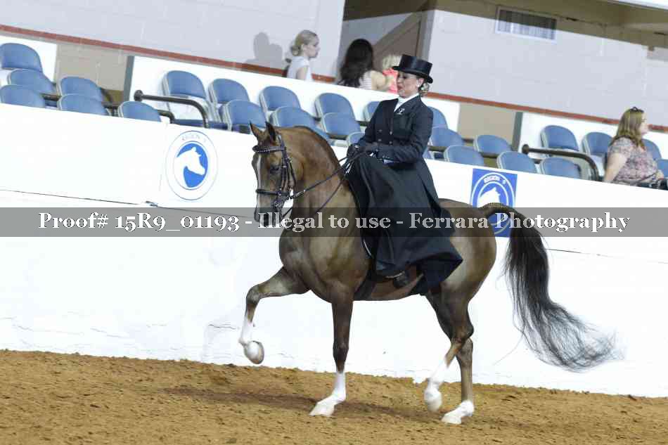 Proof 15R9_01193
