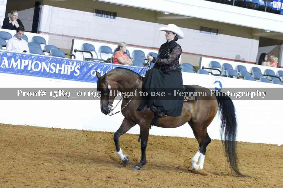 Proof 15R9_01195