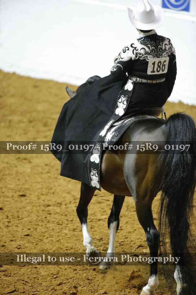 Proof 15R9_01197