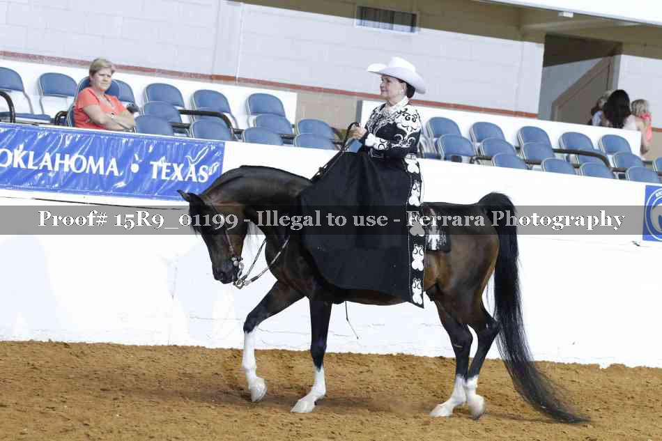 Proof 15R9_01199