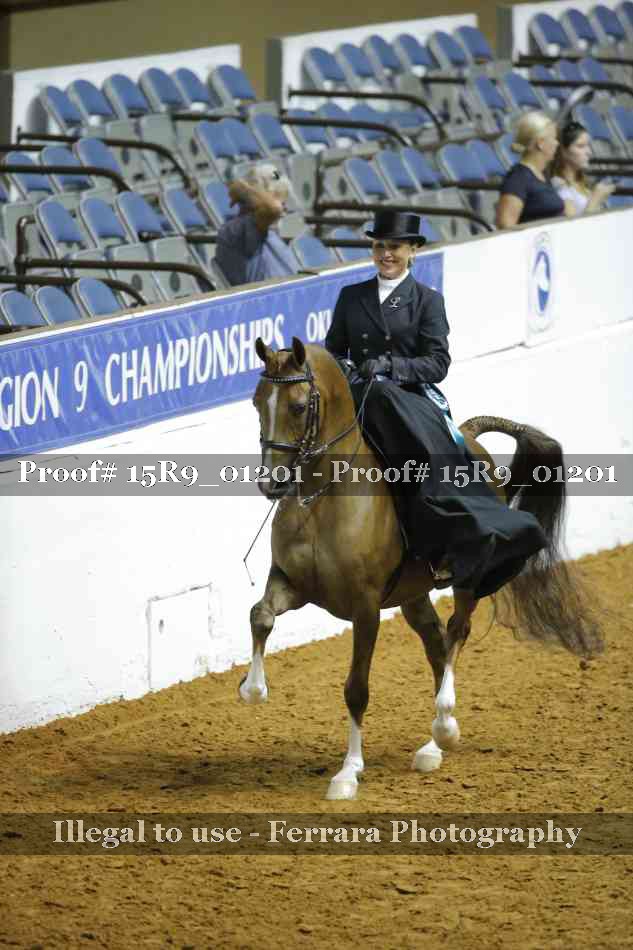Proof 15R9_01201