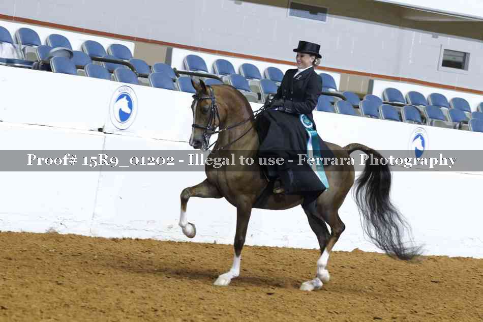 Proof 15R9_01202