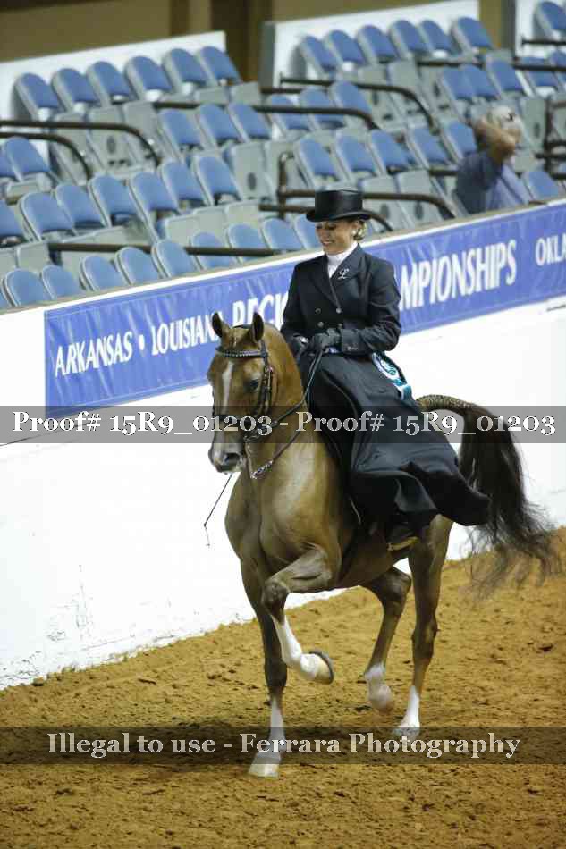Proof 15R9_01203