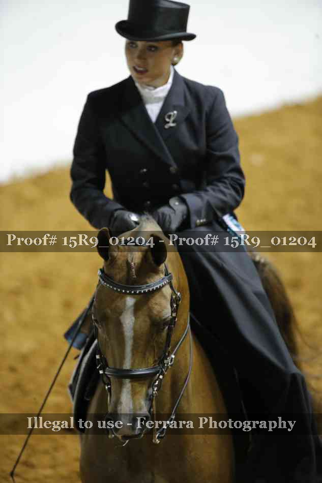 Proof 15R9_01204