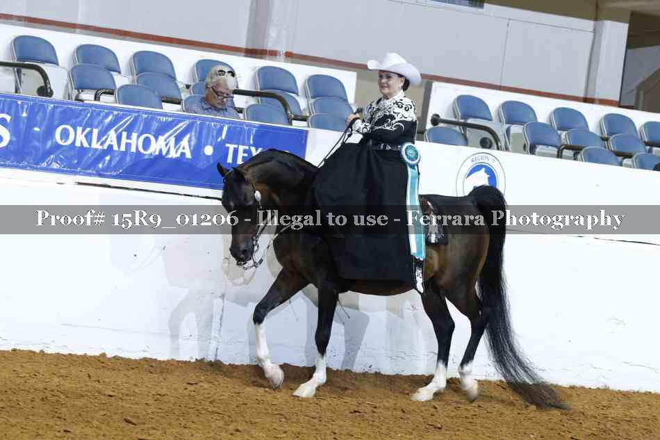 Proof 15R9_01206