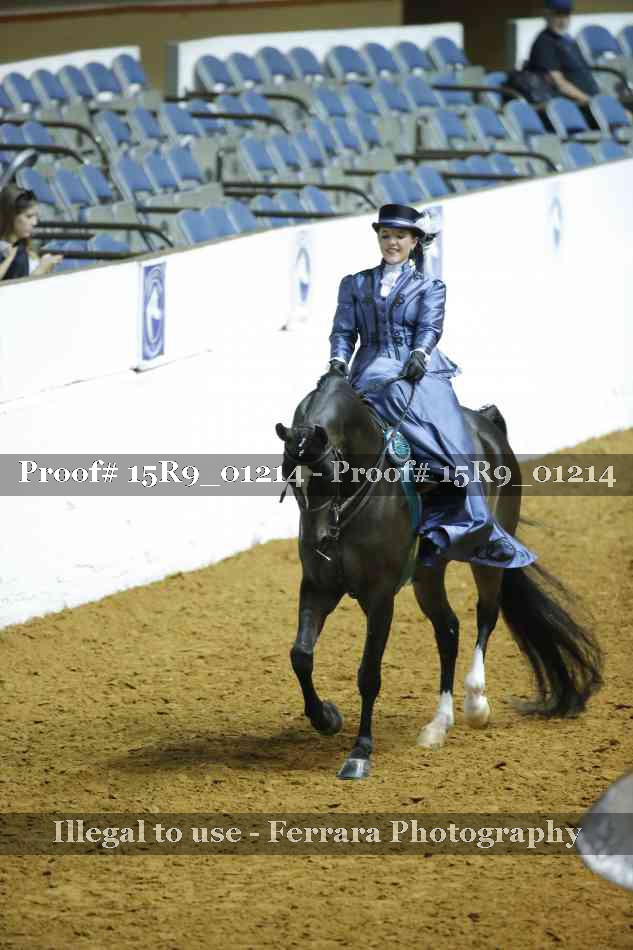 Proof 15R9_01214
