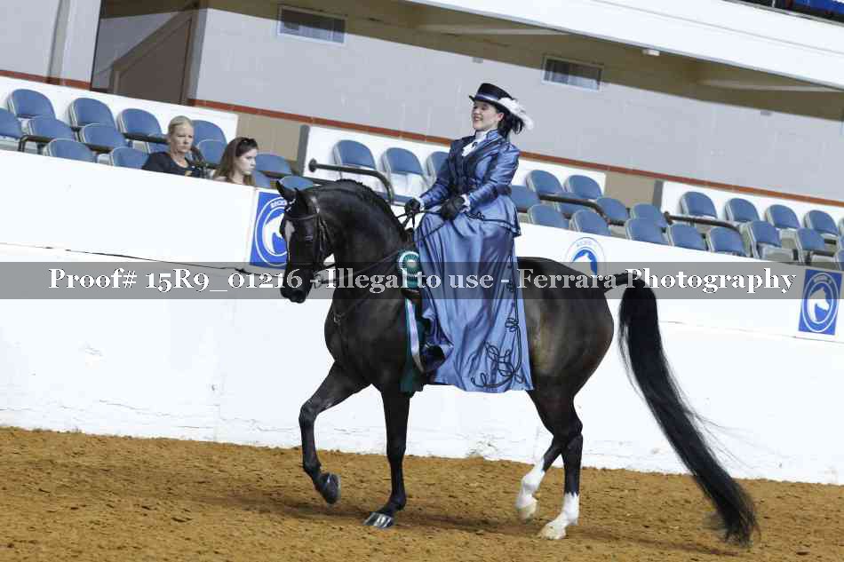 Proof 15R9_01216