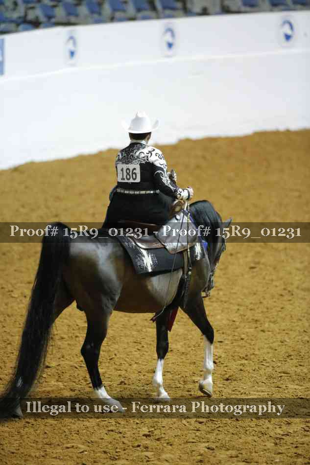 Proof 15R9_01231