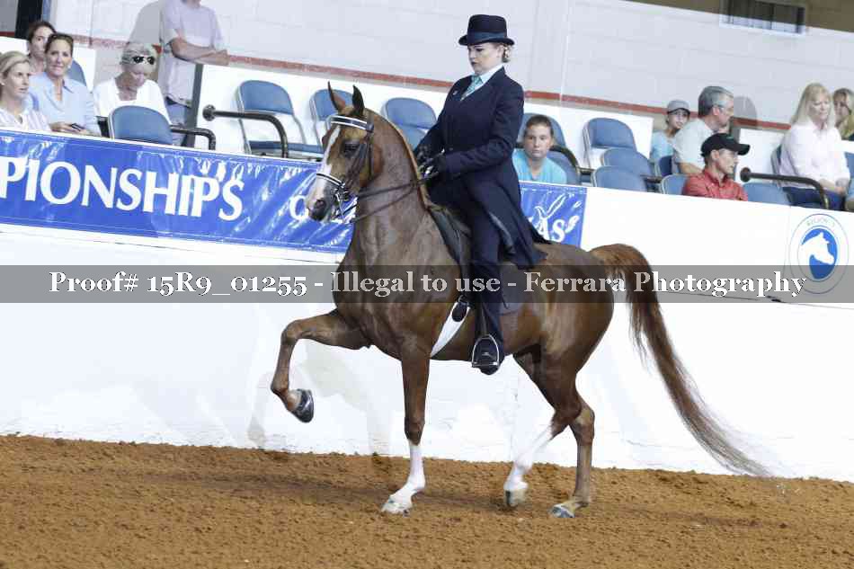 Proof 15R9_01255