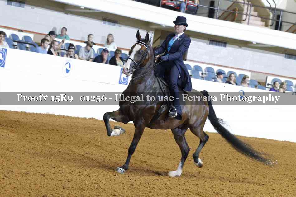 Proof 15R9_01256
