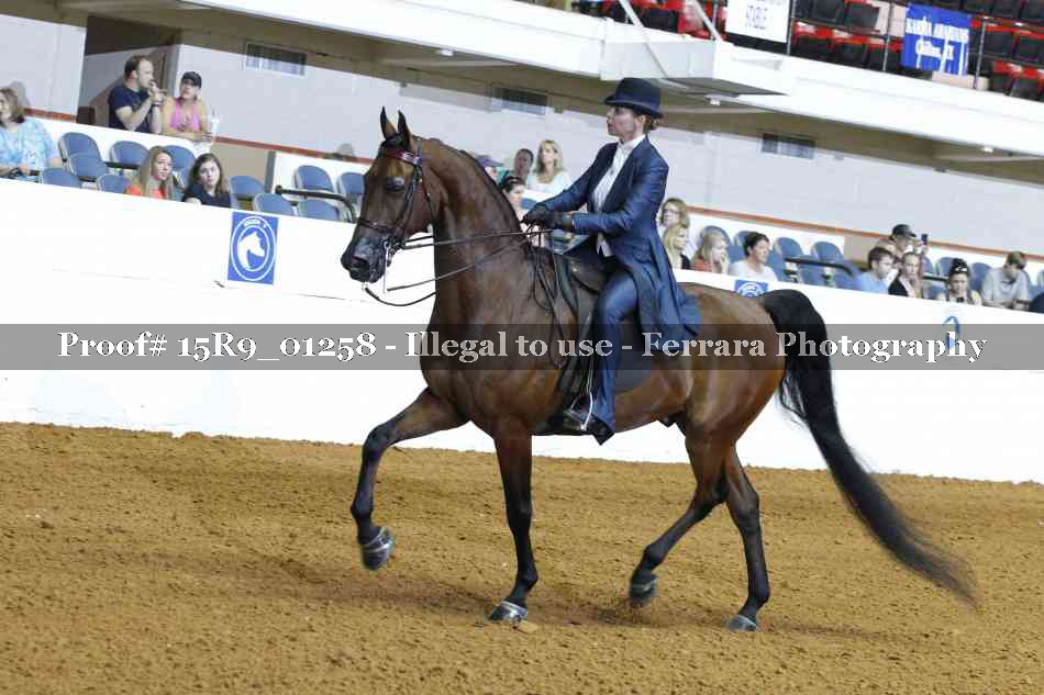 Proof 15R9_01258