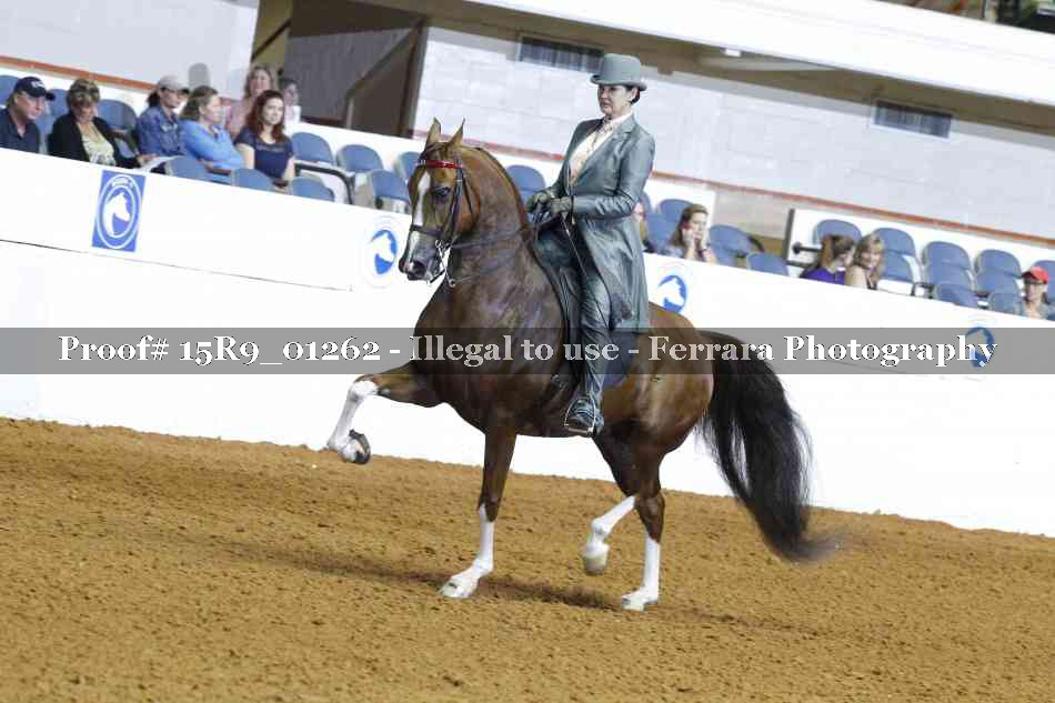 Proof 15R9_01262