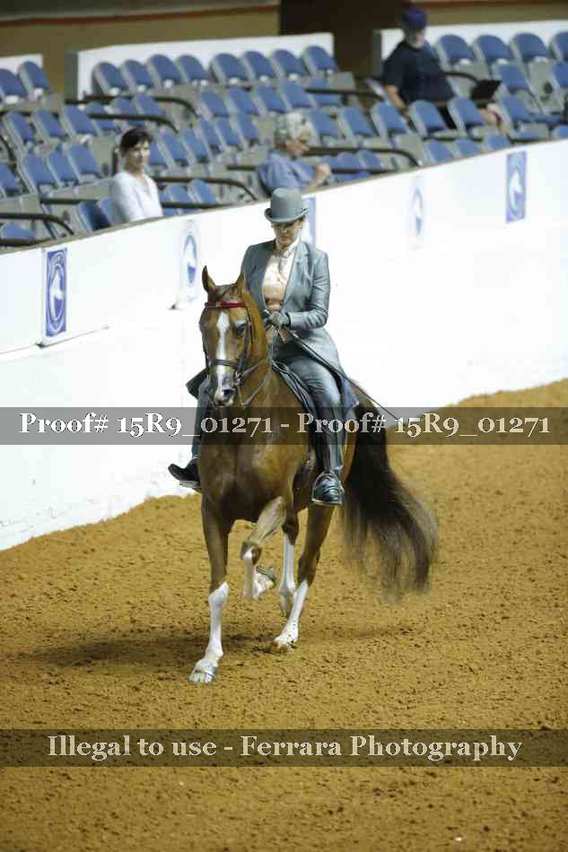 Proof 15R9_01271