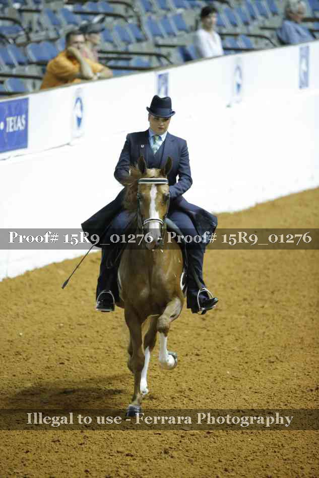 Proof 15R9_01276