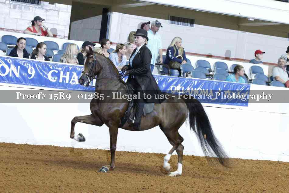 Proof 15R9_01285
