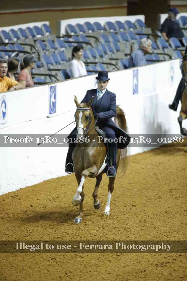 Proof 15R9_01286