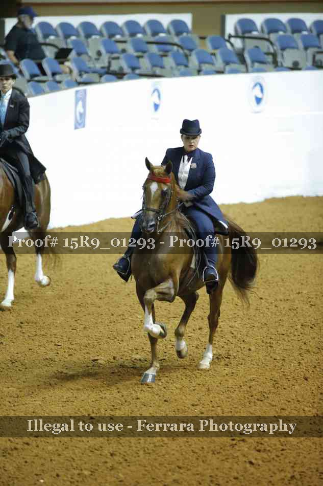 Proof 15R9_01293
