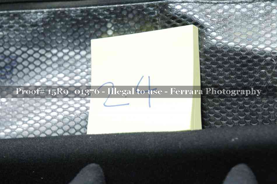 Proof 15R9_01376