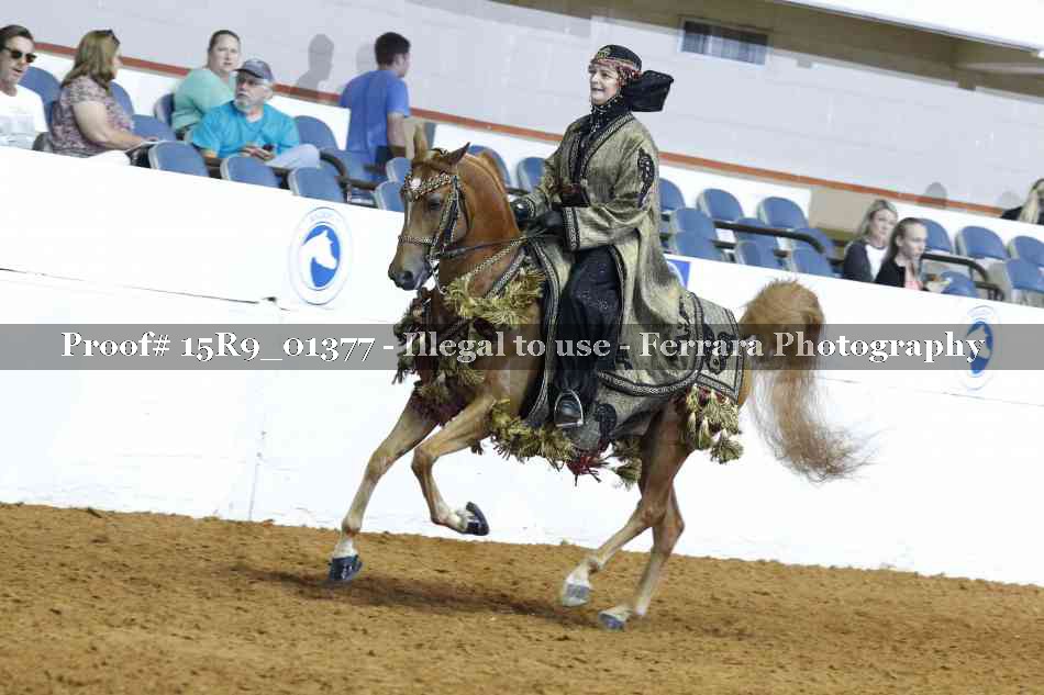 Proof 15R9_01377
