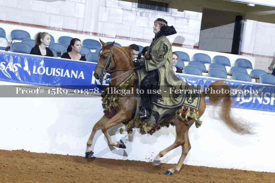 Proof 15R9_01378