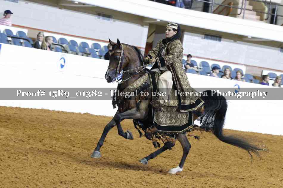Proof 15R9_01382