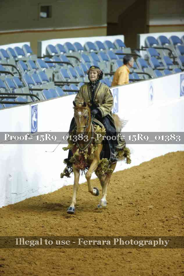 Proof 15R9_01383