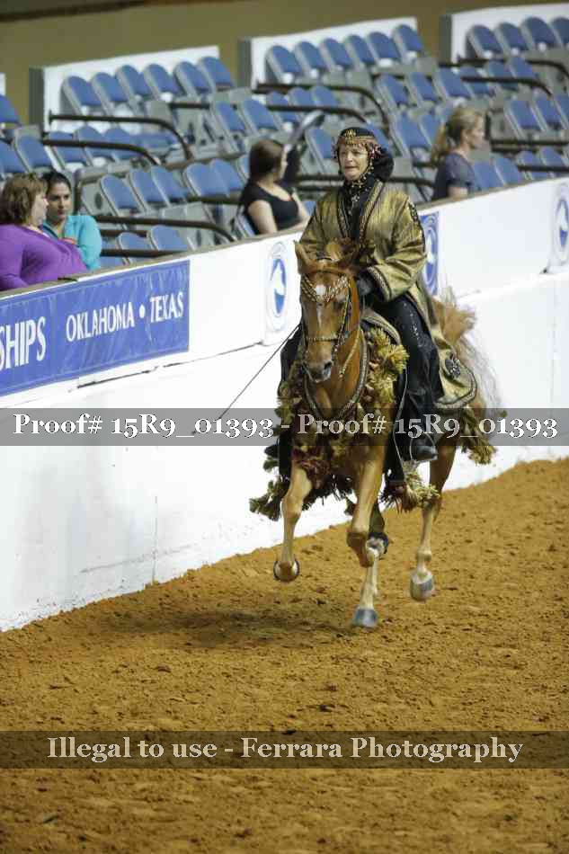 Proof 15R9_01393