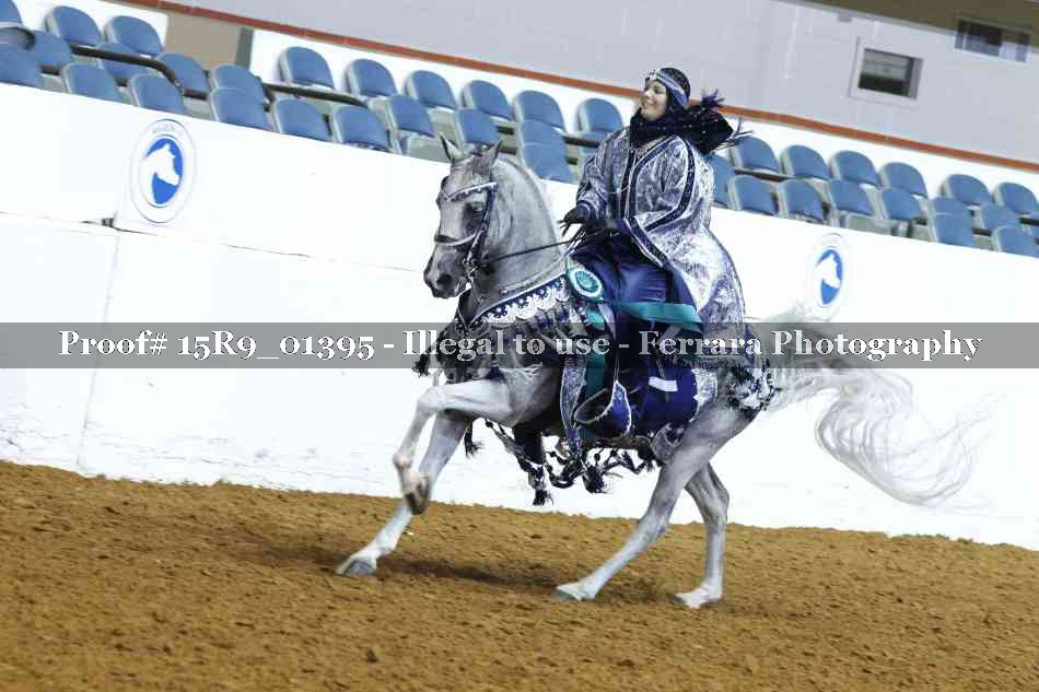 Proof 15R9_01395