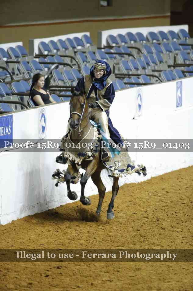 Proof 15R9_01403