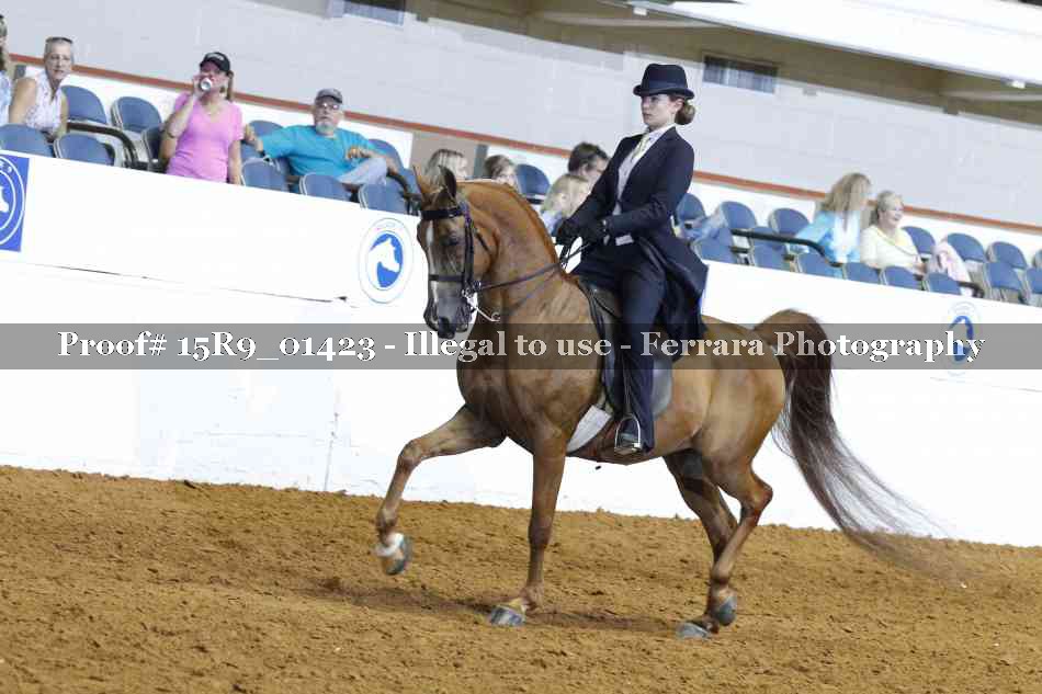 Proof 15R9_01423