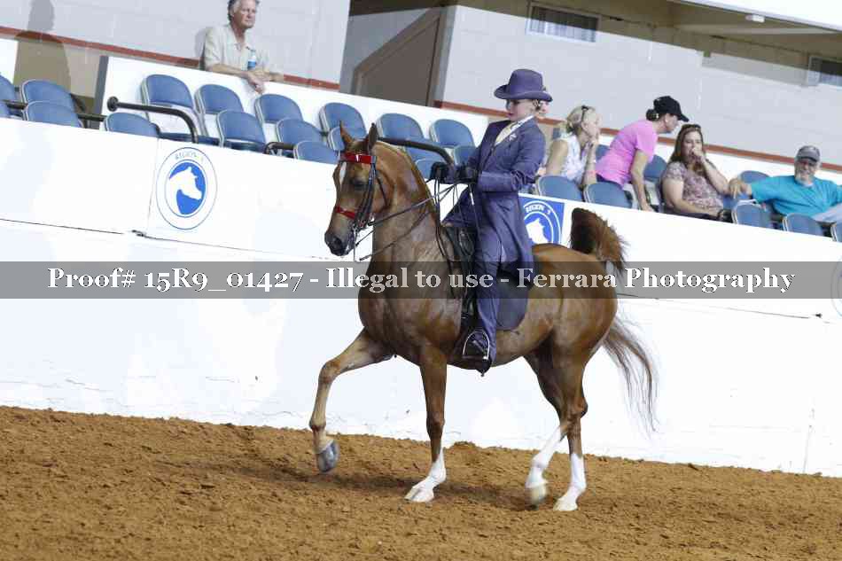Proof 15R9_01427