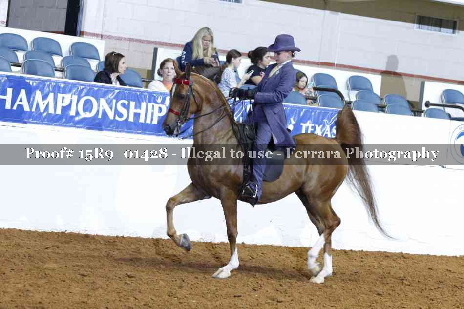 Proof 15R9_01428