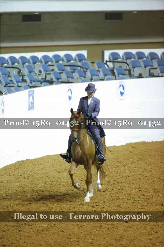 Proof 15R9_01432