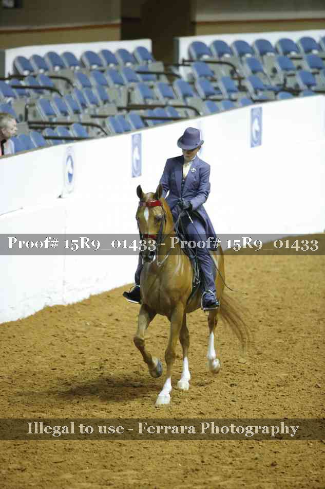Proof 15R9_01433