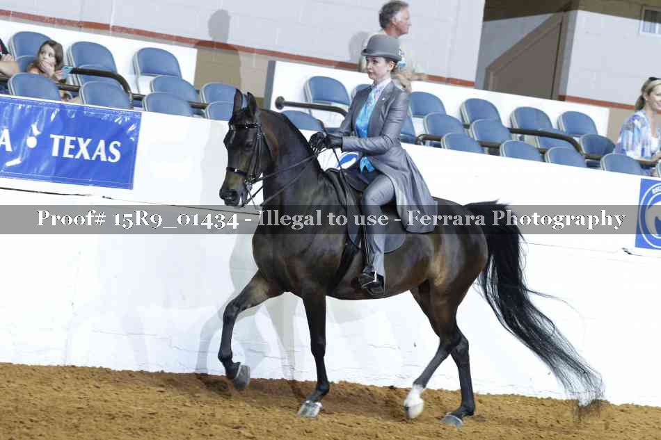 Proof 15R9_01434