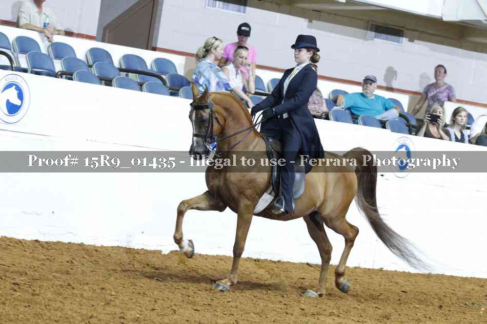 Proof 15R9_01435