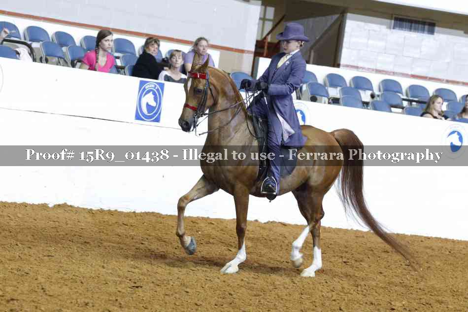 Proof 15R9_01438
