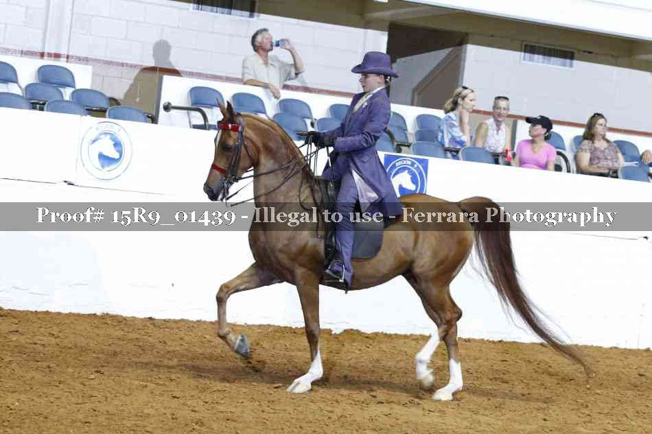 Proof 15R9_01439
