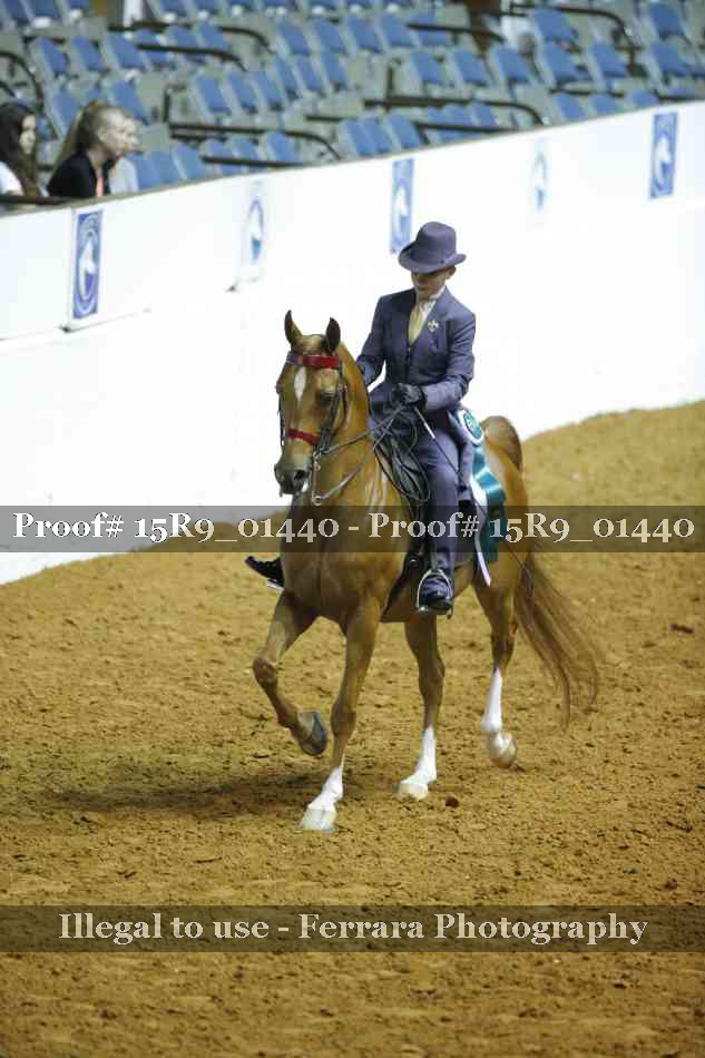Proof 15R9_01440