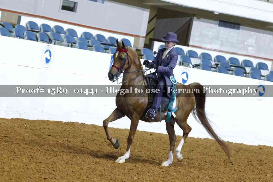 Proof 15R9_01441