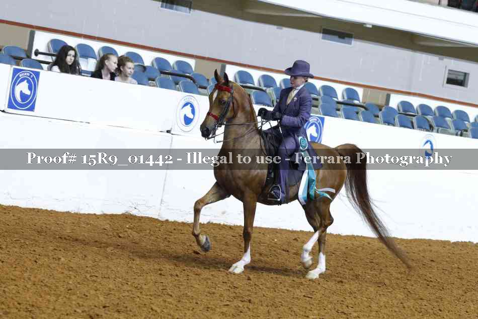 Proof 15R9_01442
