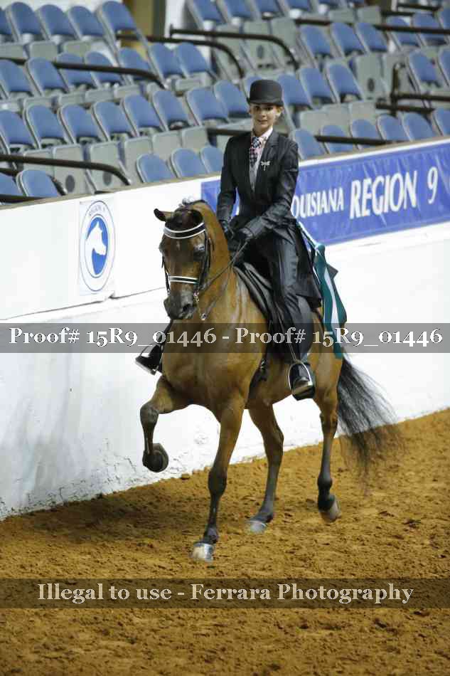 Proof 15R9_01446