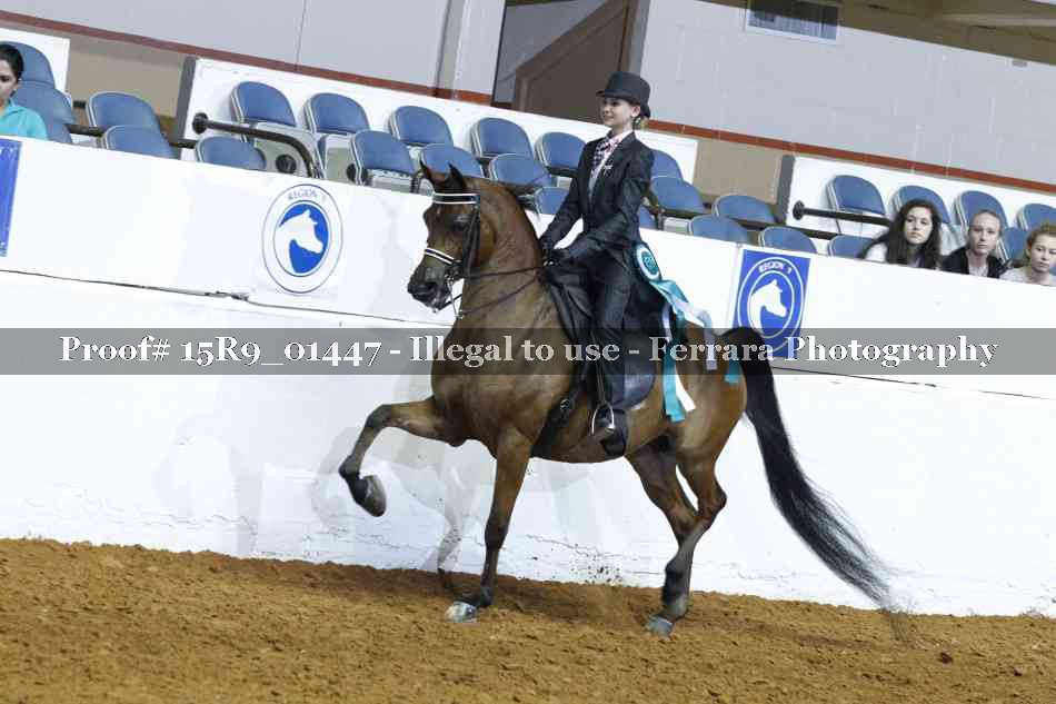 Proof 15R9_01447