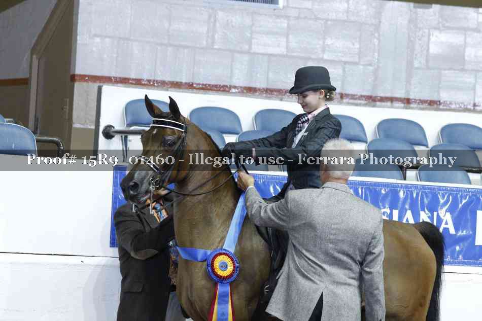 Proof 15R9_01460