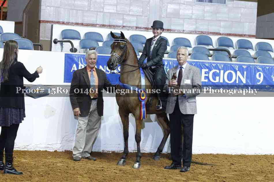 Proof 15R9_01461