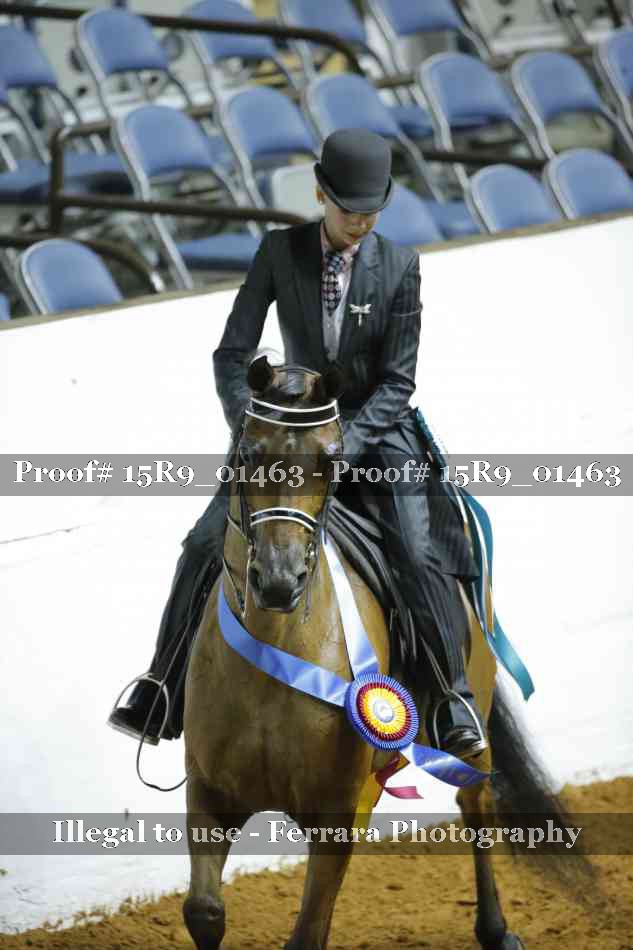 Proof 15R9_01463